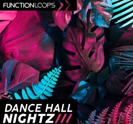 Function Loops Dancehall Nightz WAV